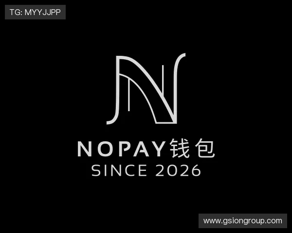 介绍NOPAY钱包